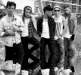 /album/fotogaleria/a1d-png/